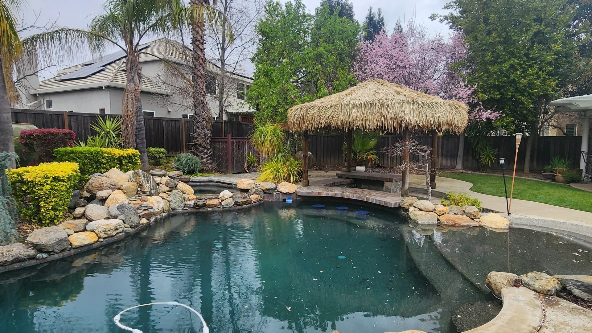 Thatched shade hut beside a backyard pool
